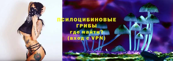 стаф Осташков