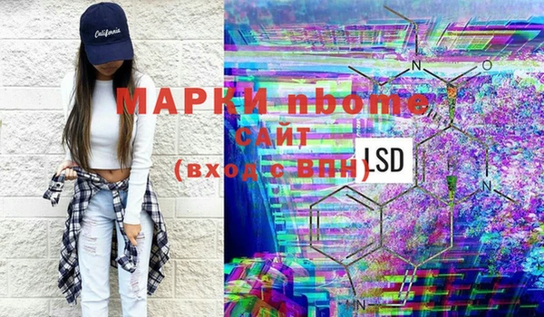 стаф Осташков