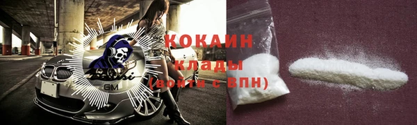стаф Осташков