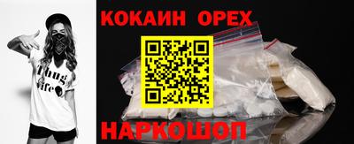 гашик Аргун