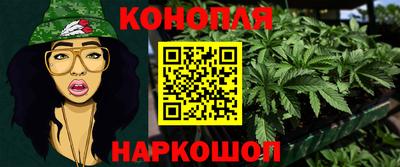 индика Аргун